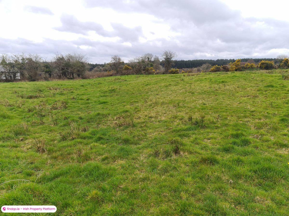 Site for Sale in Charlestown, Mayo