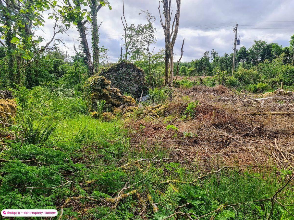 Detached house for Sale in Charlestown, Mayo