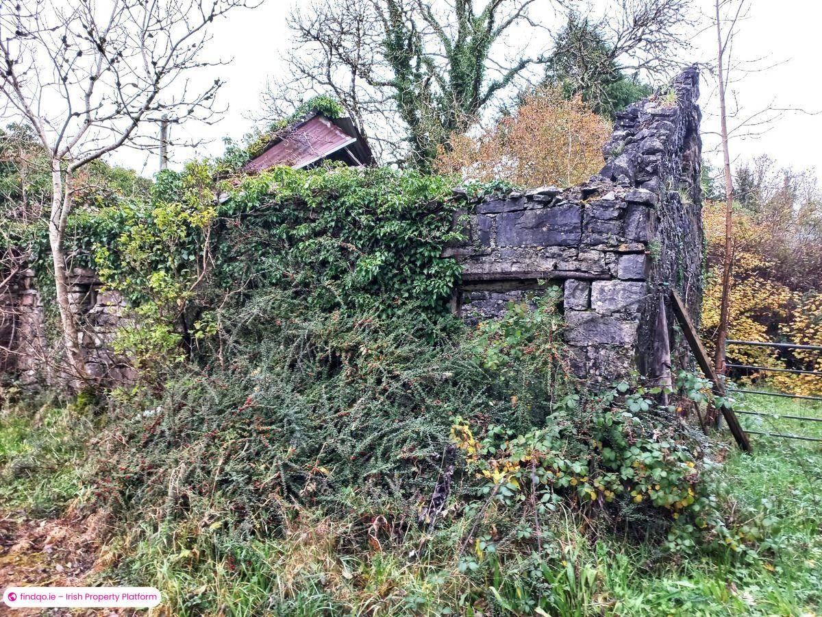 Detached house for Sale in Ballyhaunis, Mayo