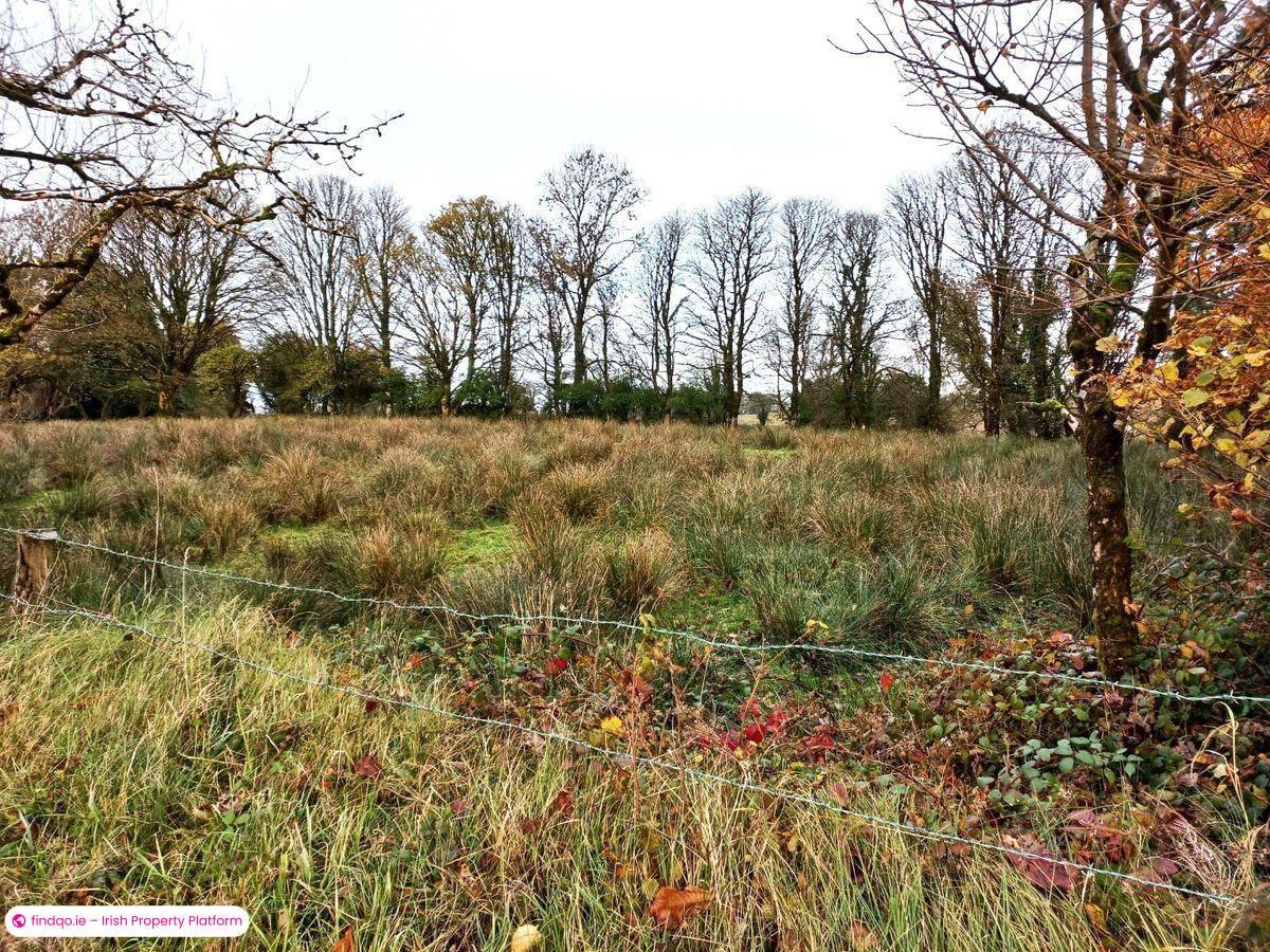 Detached house for Sale in Ballyhaunis, Mayo