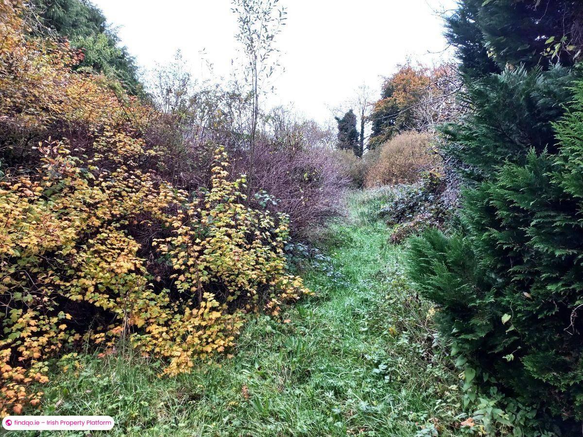 Detached house for Sale in Ballyhaunis, Mayo