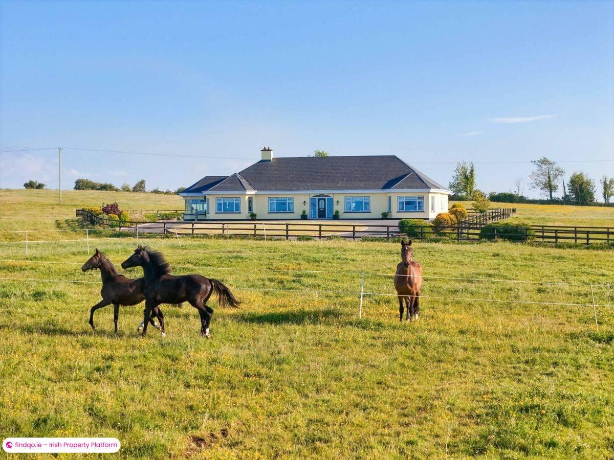 Detached house for Sale in Ballyhaunis, Mayo