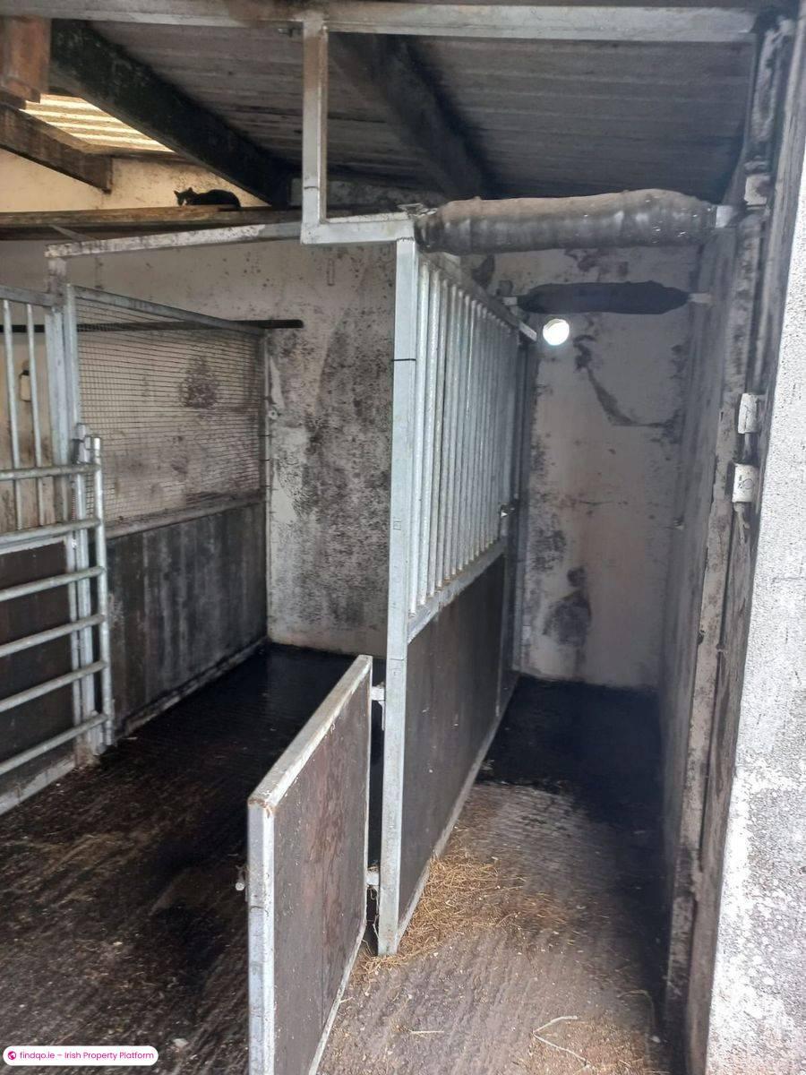 Detached house for Sale in Ballyhaunis, Mayo