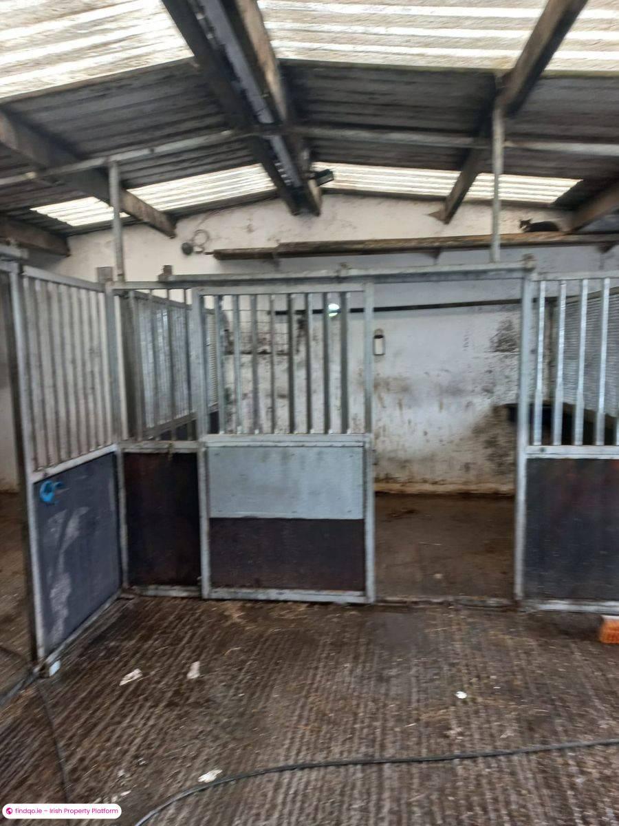 Detached house for Sale in Ballyhaunis, Mayo