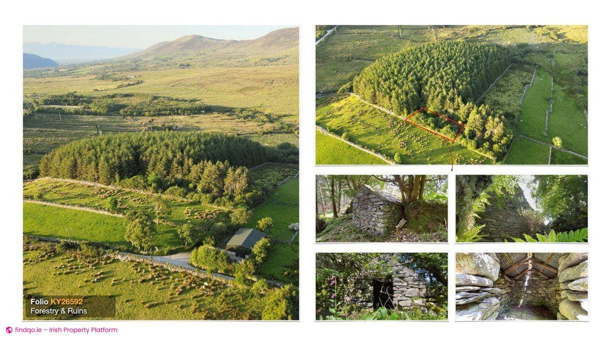 Agricultural Land for Sale in Glenbeigh, Kerry
