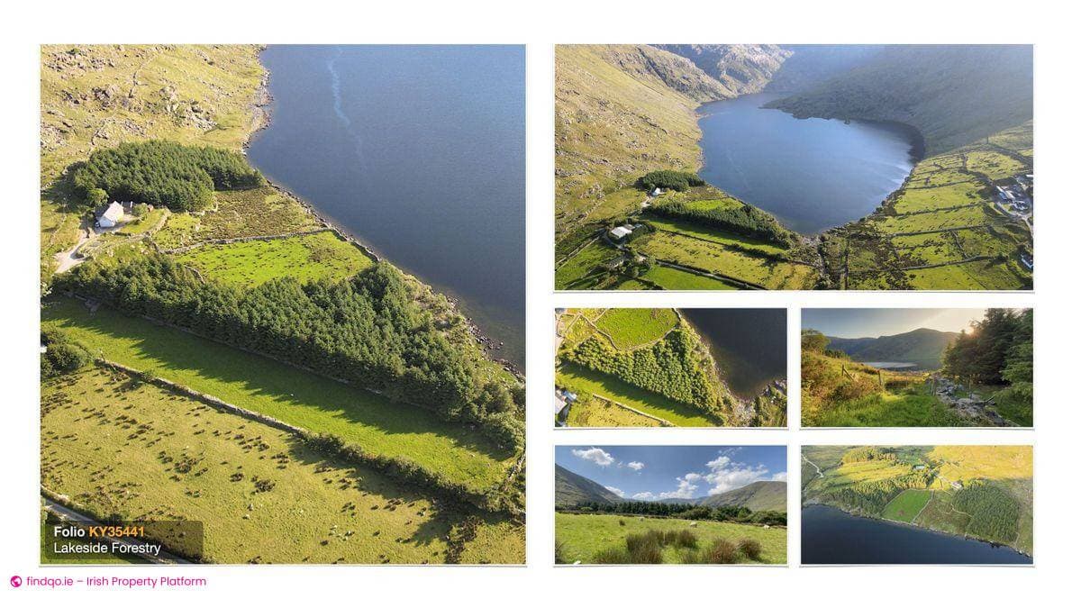 Agricultural Land for Sale in Glenbeigh, Kerry