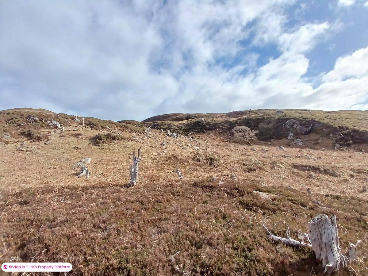 Agricultural Land for Sale in Caragh Lake, Kerry