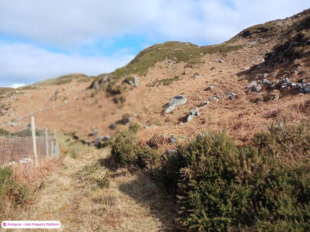 Agricultural Land for Sale in Caragh Lake, Kerry