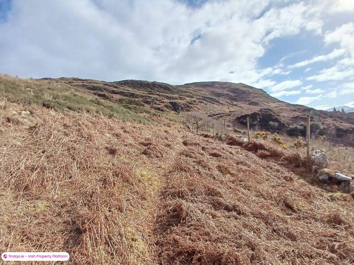 Agricultural Land for Sale in Caragh Lake, Kerry