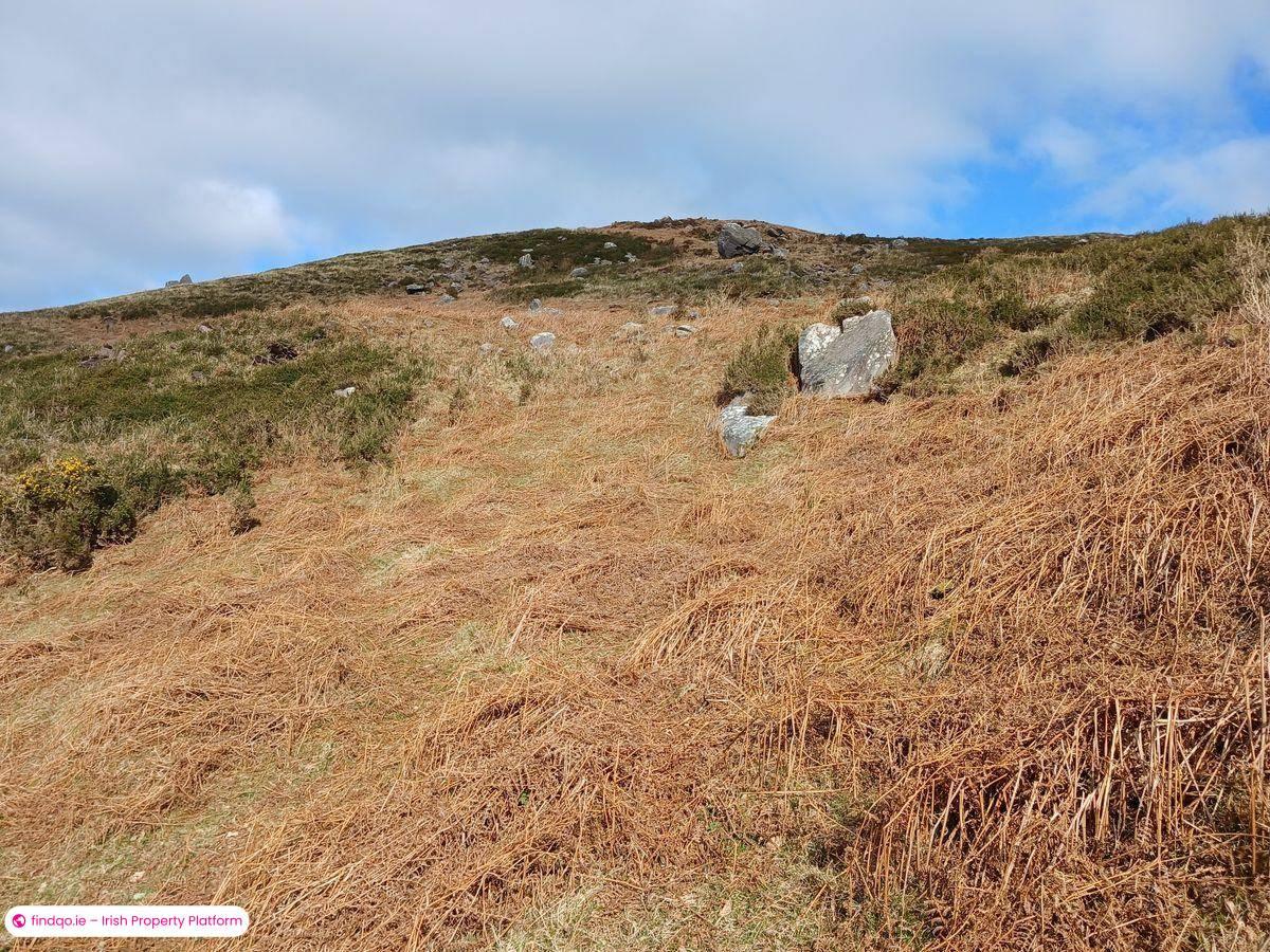 Agricultural Land for Sale in Caragh Lake, Kerry