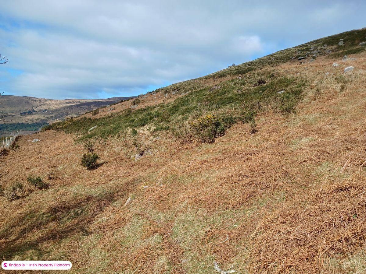 Agricultural Land for Sale in Caragh Lake, Kerry