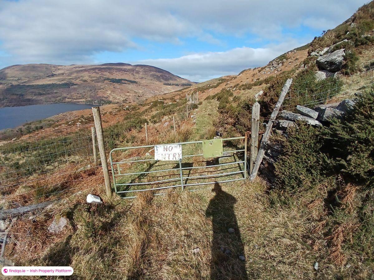 Agricultural Land for Sale in Caragh Lake, Kerry