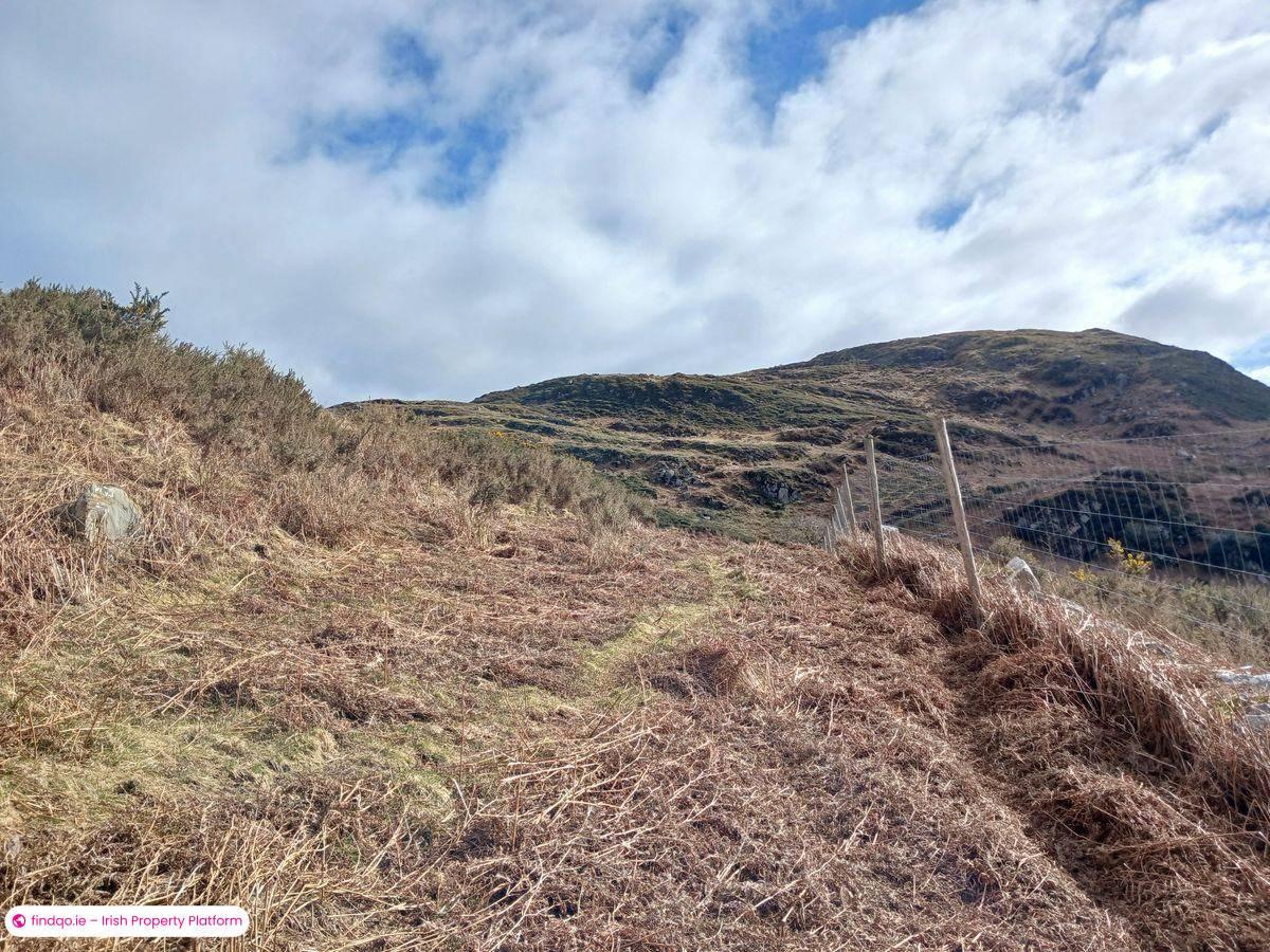 Agricultural Land for Sale in Caragh Lake, Kerry