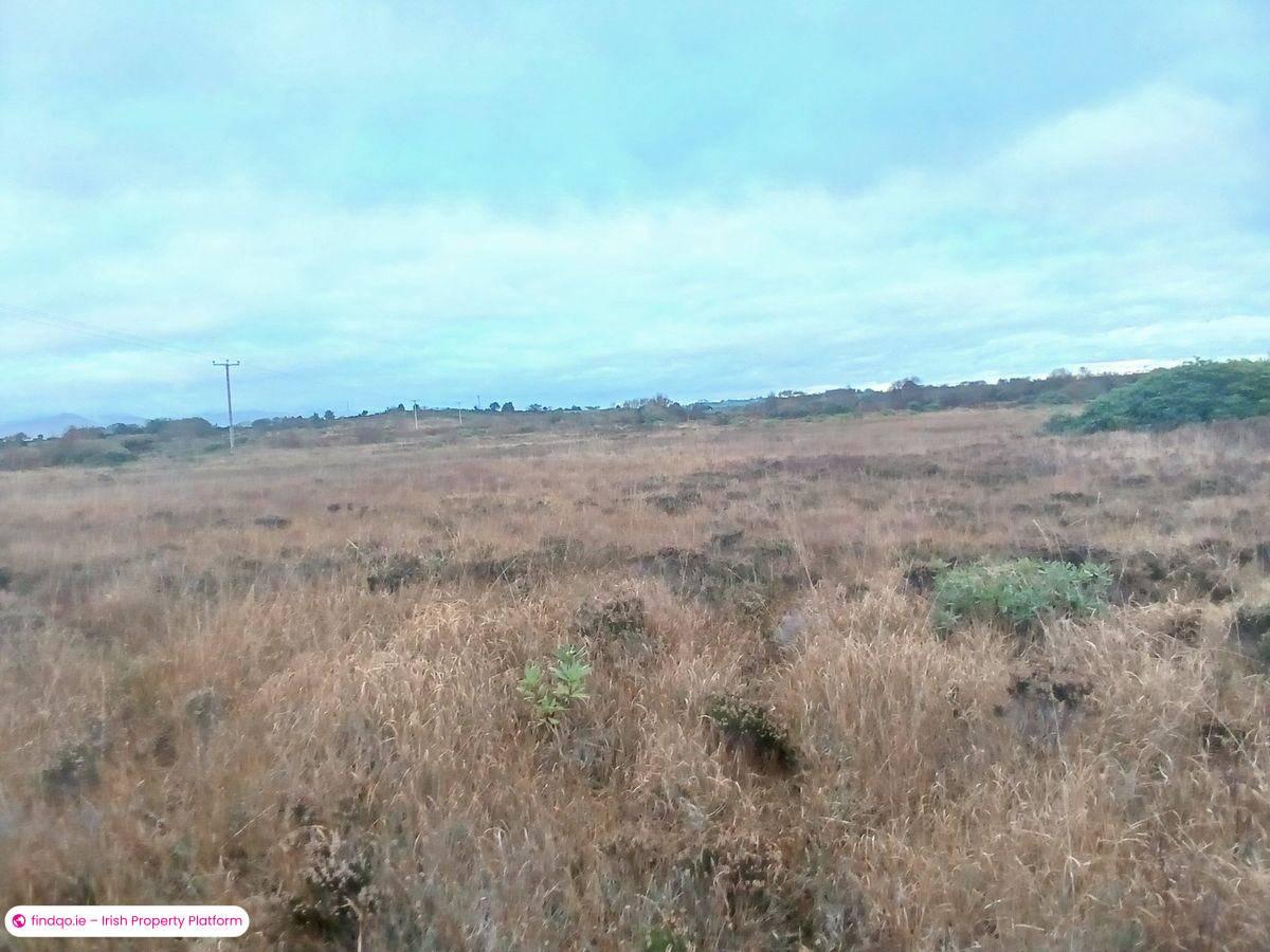 Agricultural Land for Sale in Killorglin, Kerry