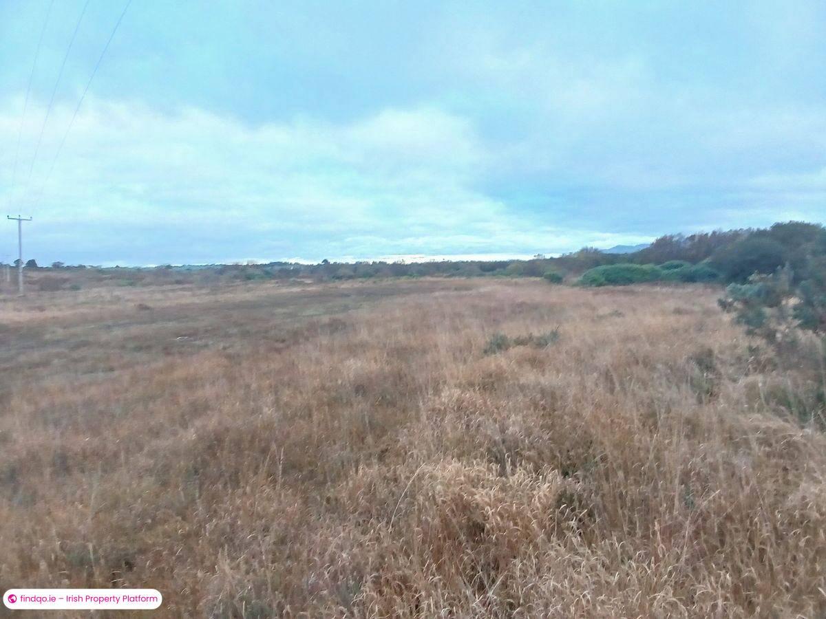 Agricultural Land for Sale in Killorglin, Kerry
