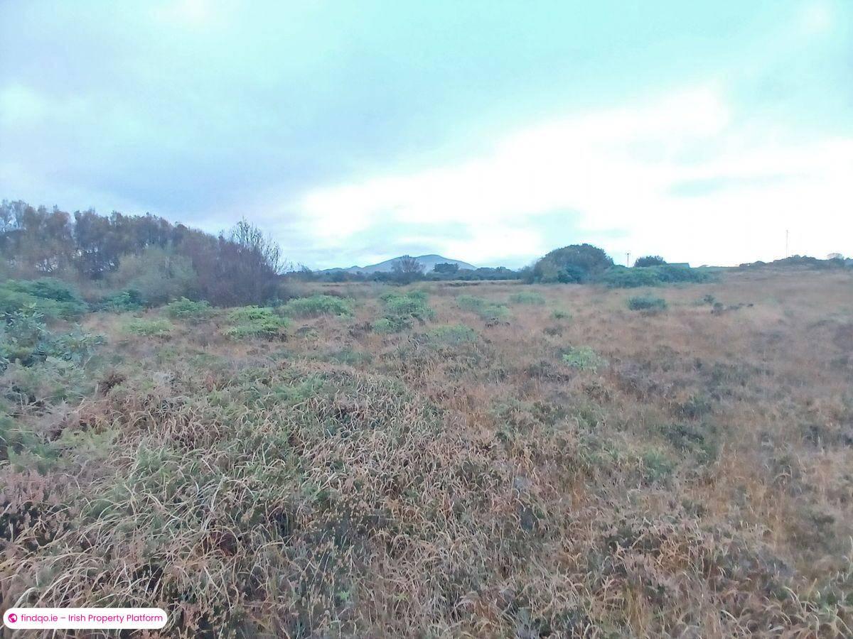 Agricultural Land for Sale in Killorglin, Kerry