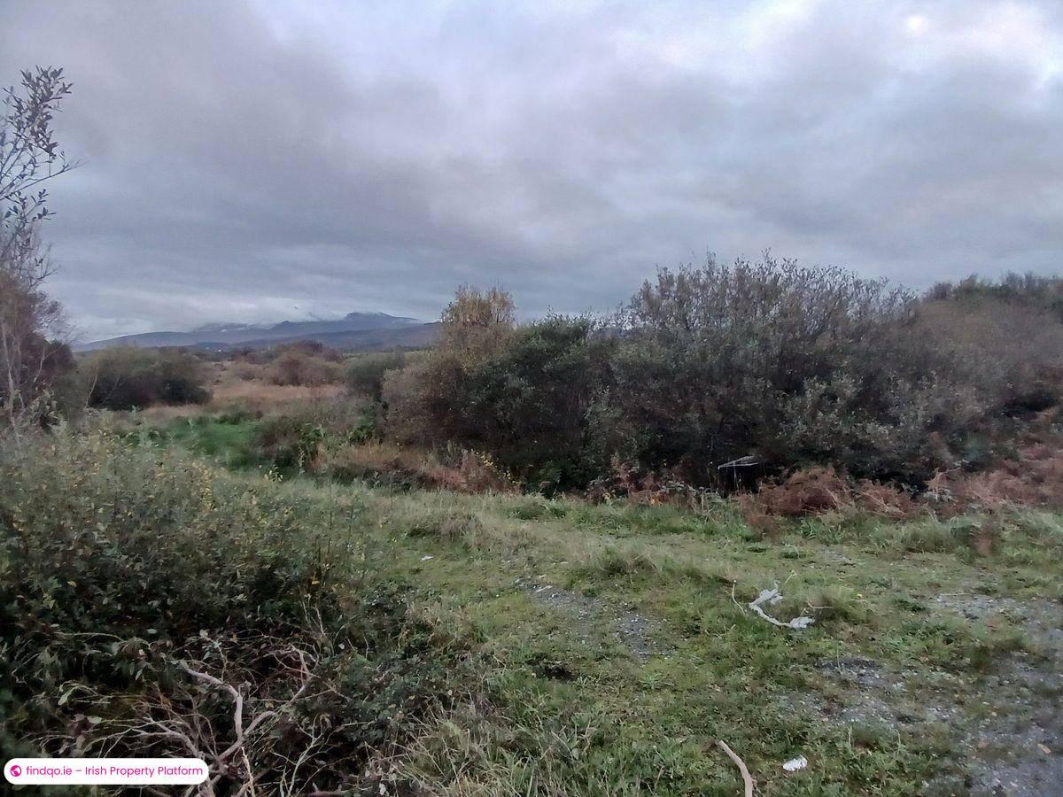 Agricultural Land for Sale in Killorglin, Kerry