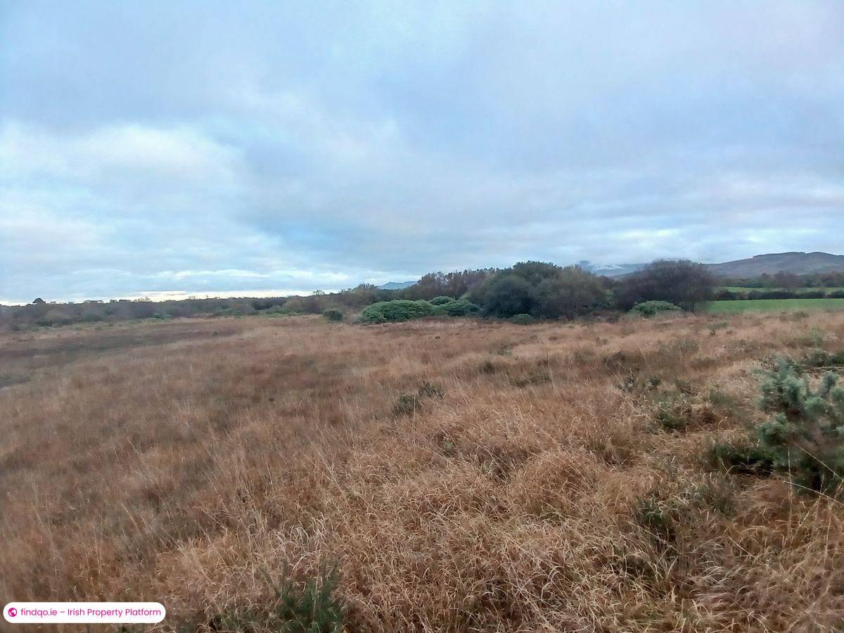 Agricultural Land for Sale in Killorglin, Kerry