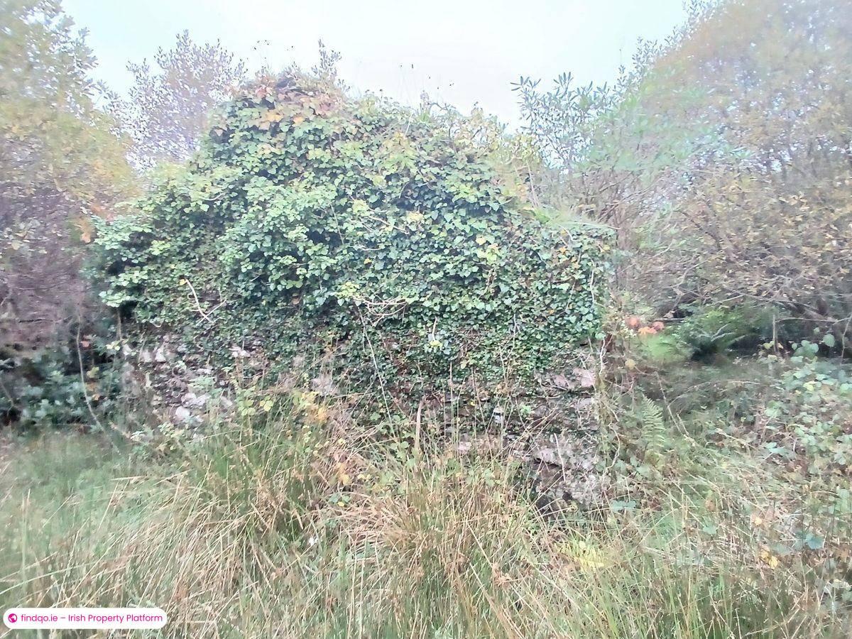 Agricultural Land for Sale in Sneem, Kerry