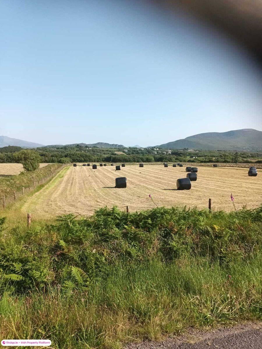 Agricultural Land for Sale in Cromane, Kerry
