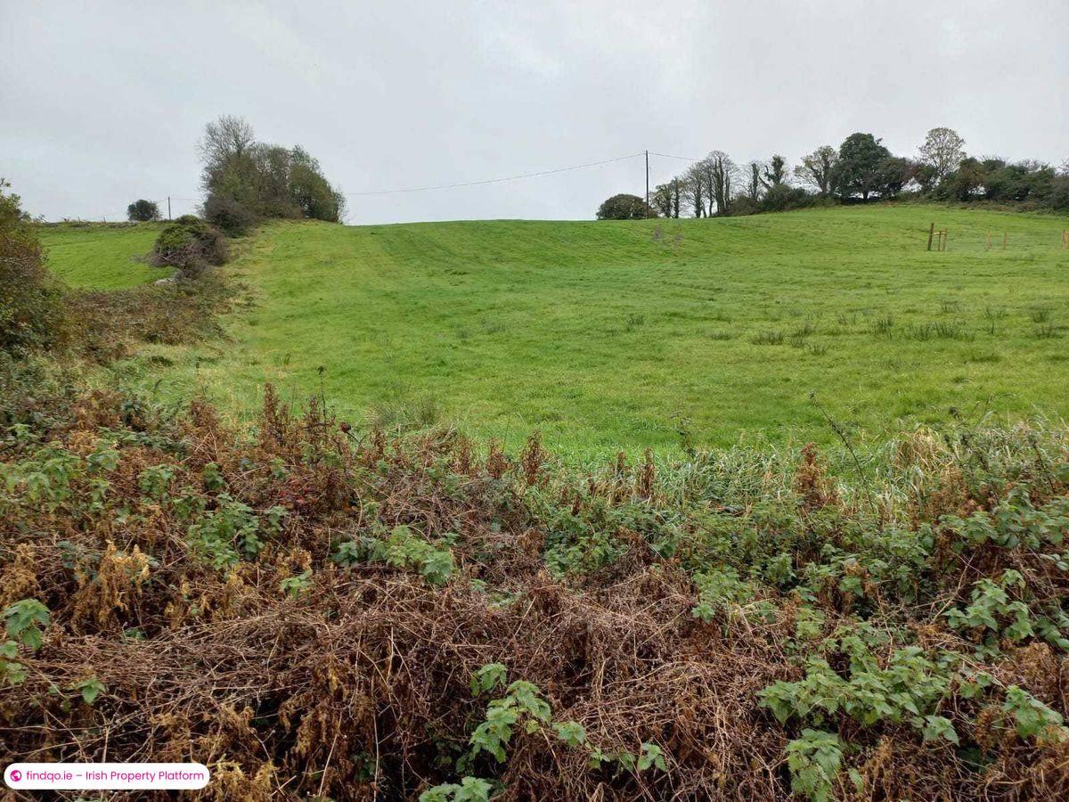 Agricultural Land for Sale in Kiltimagh, Mayo