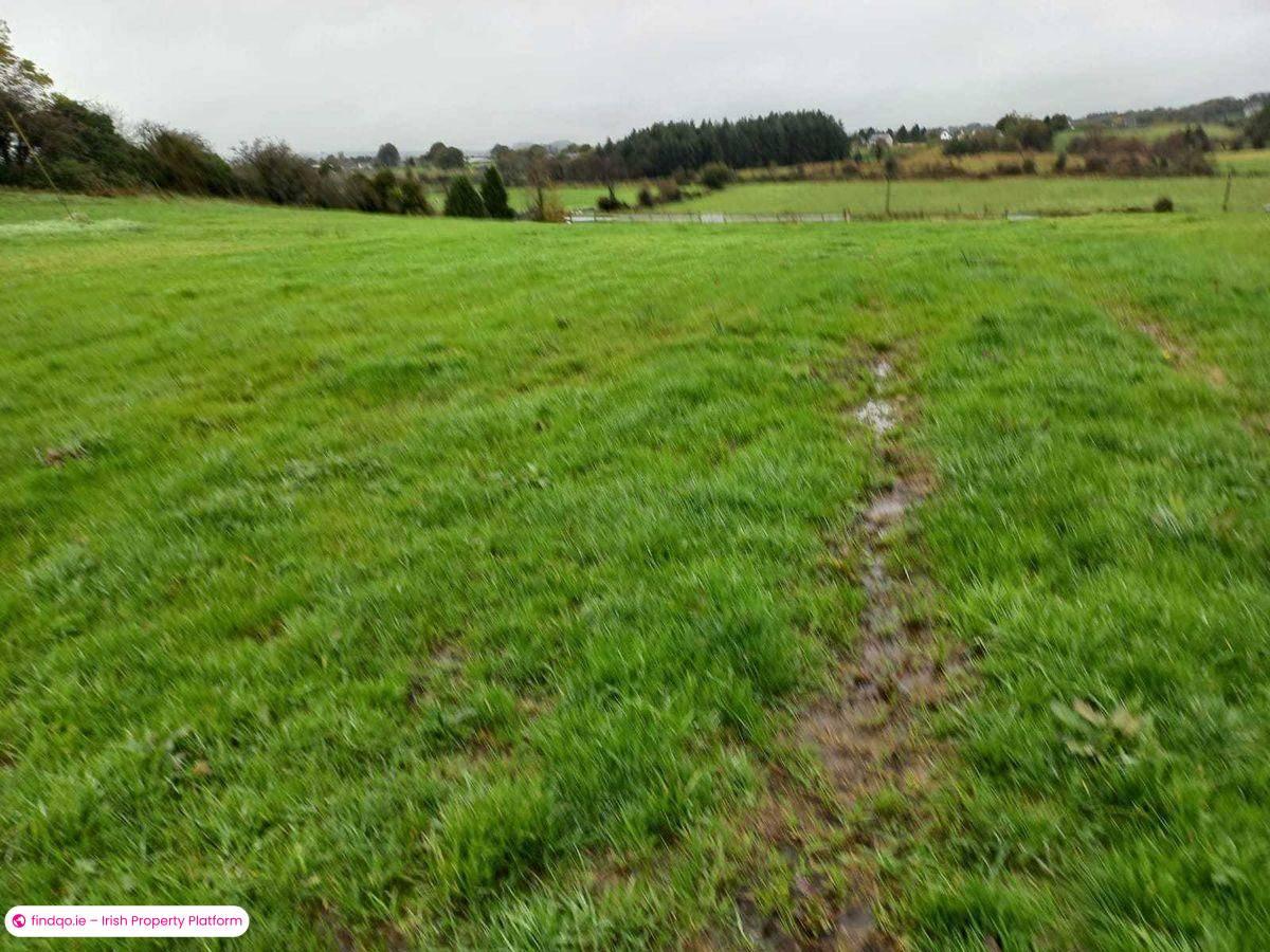 Agricultural Land for Sale in Kiltimagh, Mayo