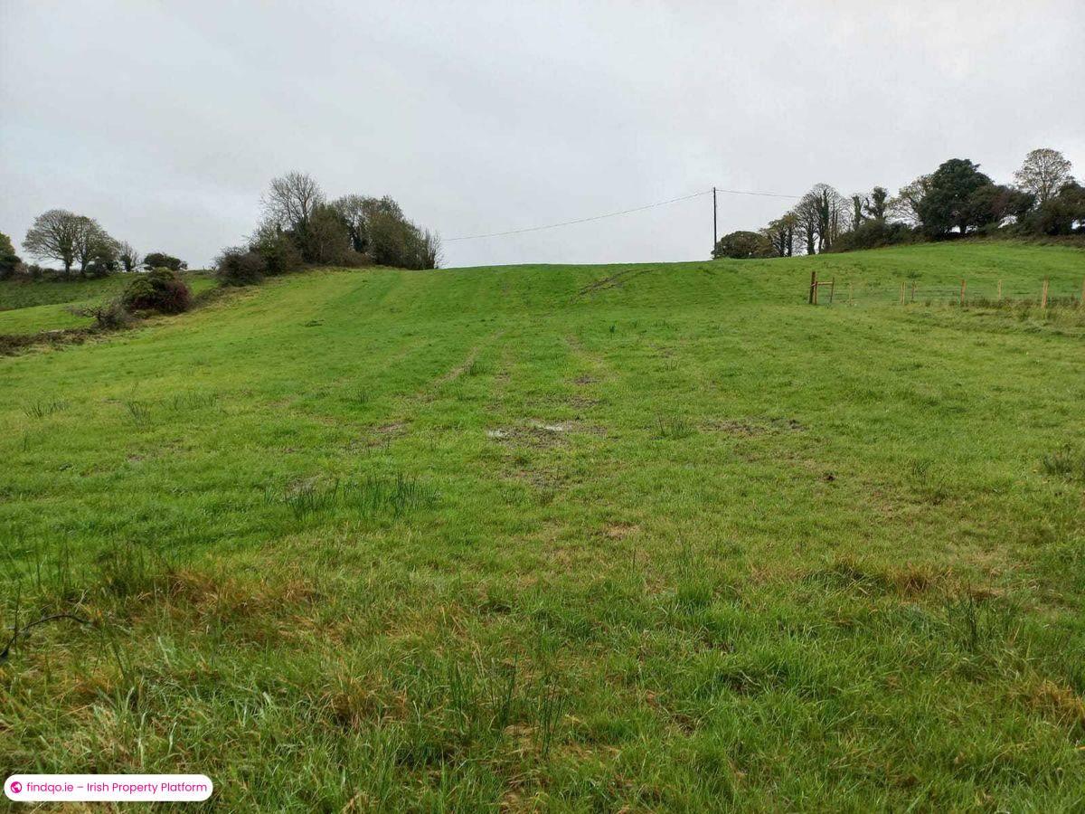 Agricultural Land for Sale in Kiltimagh, Mayo