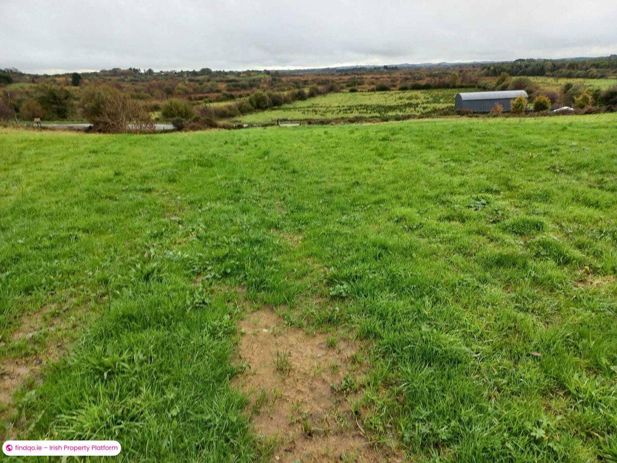 Agricultural Land for Sale in Kiltimagh, Mayo