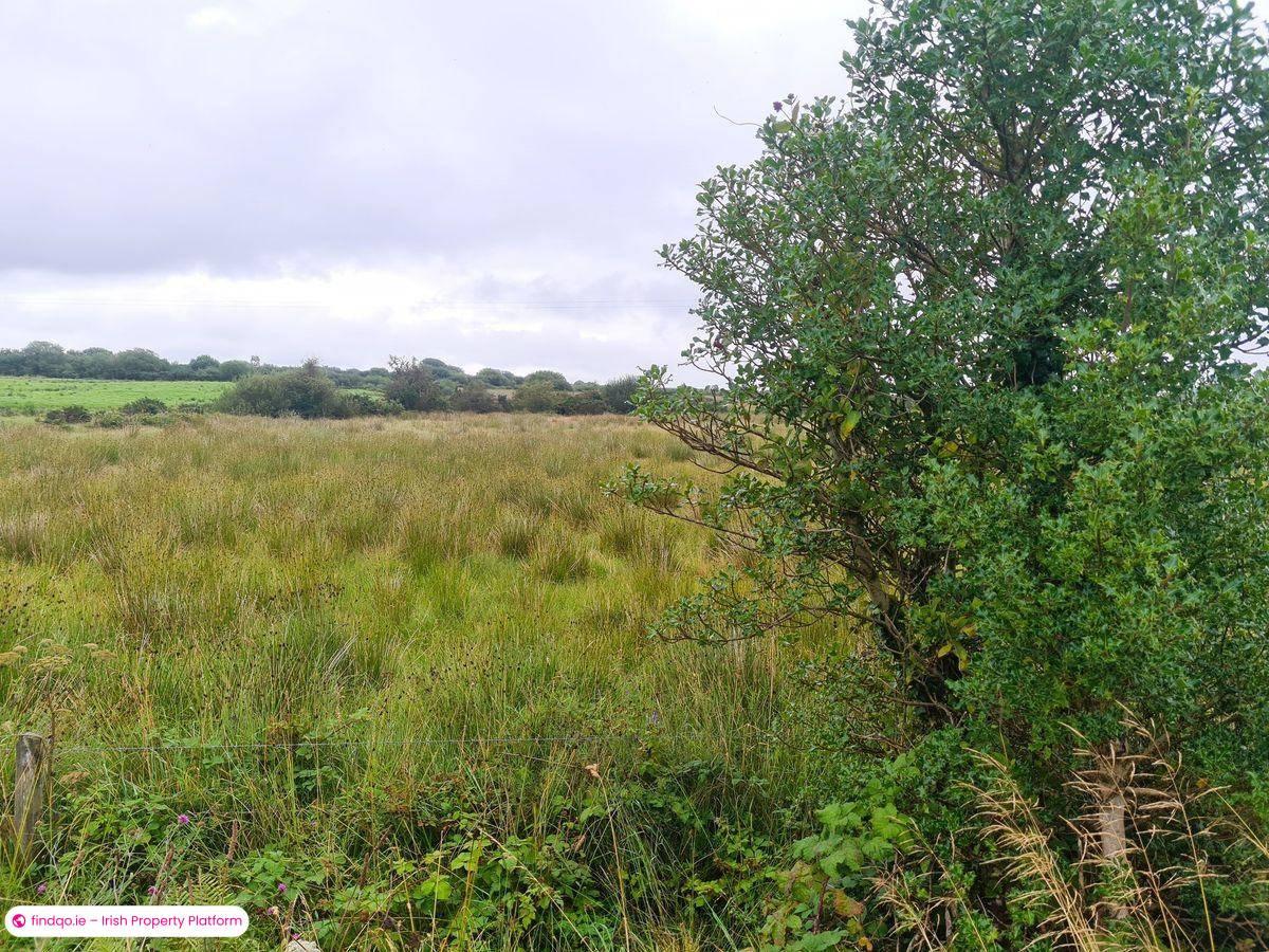 Agricultural Land for Sale in Carracastle, Mayo