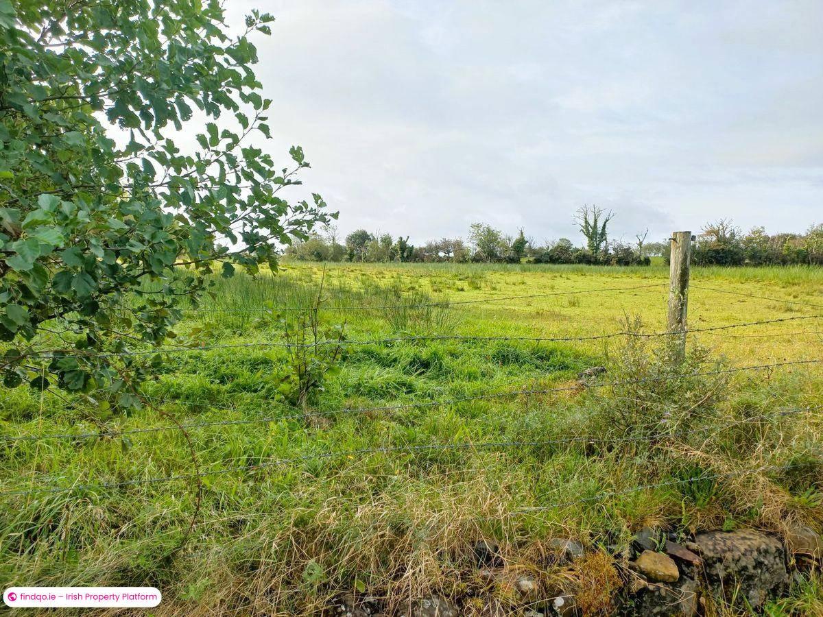 Agricultural Land for Sale in Knock, Mayo