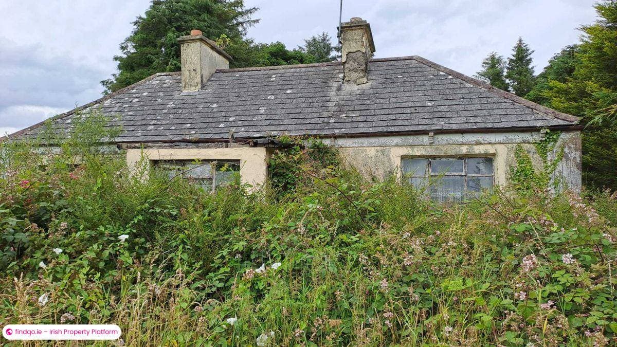 Agricultural Land for Sale in Ballyhaunis, Mayo