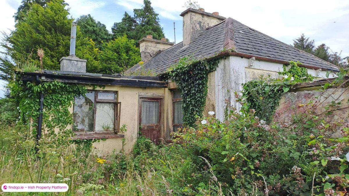 Agricultural Land for Sale in Ballyhaunis, Mayo