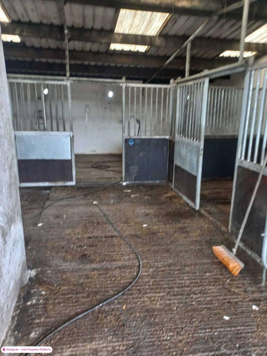 Agricultural Land for Sale in Ballyhaunis, Mayo