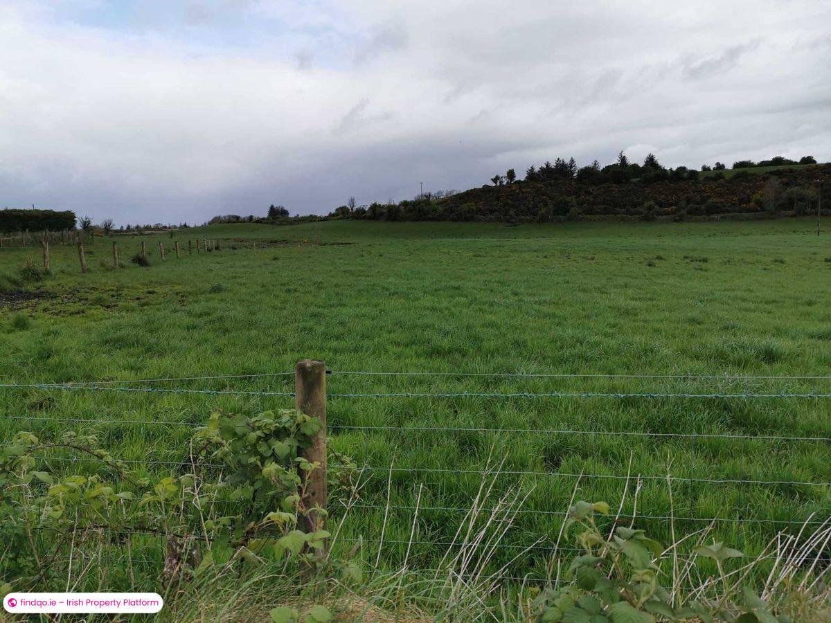 Agricultural Land for Sale in Ballyhaunis, Mayo