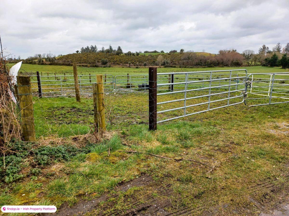 Agricultural Land for Sale in Ballyhaunis, Mayo