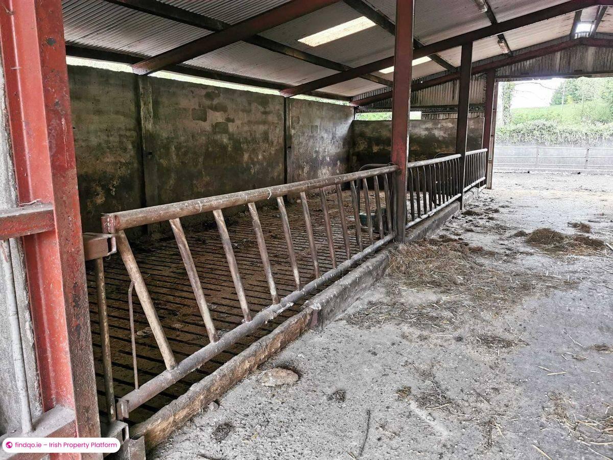 Agricultural Land for Sale in Ballyhaunis, Mayo