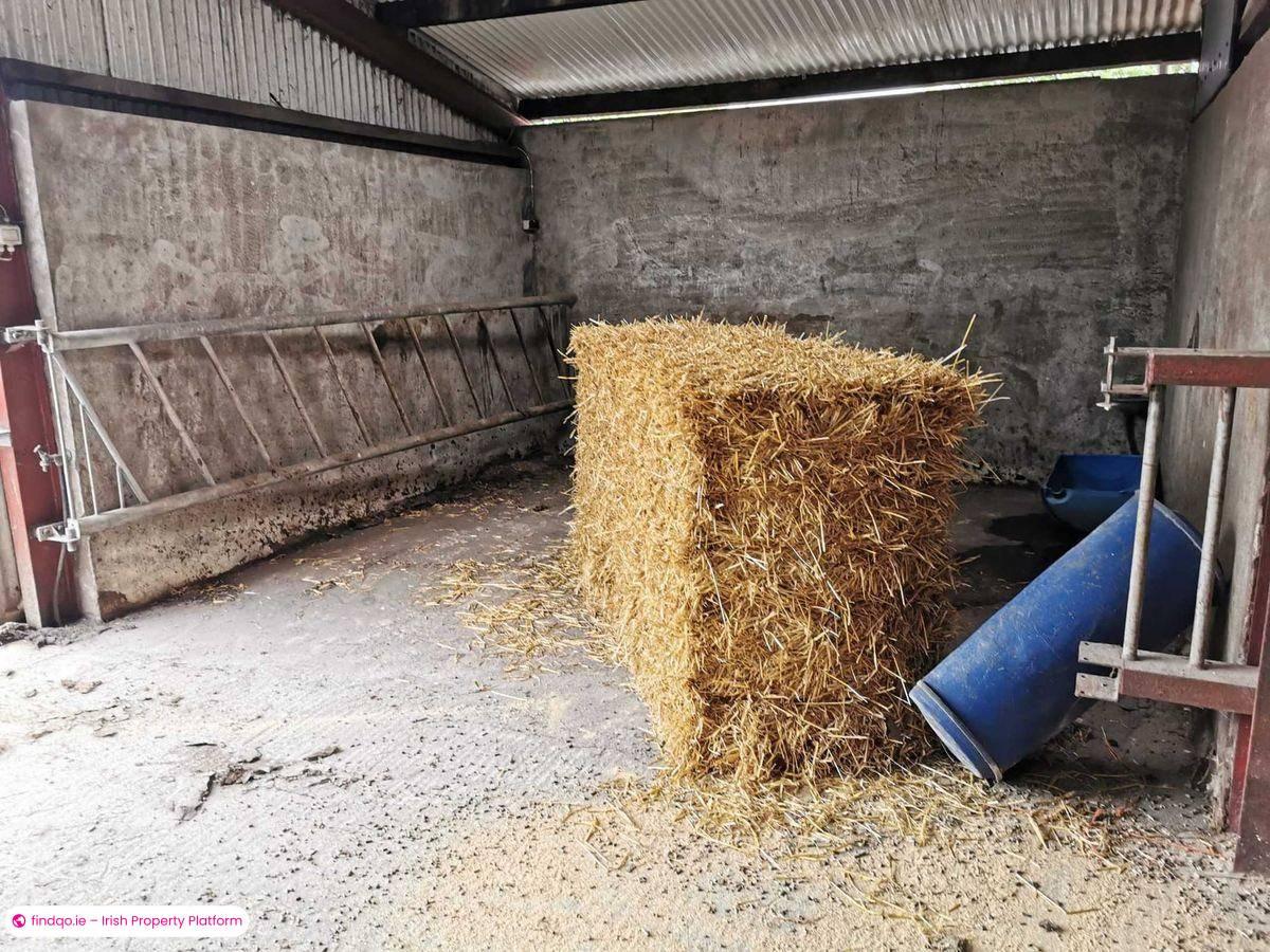 Agricultural Land for Sale in Ballyhaunis, Mayo