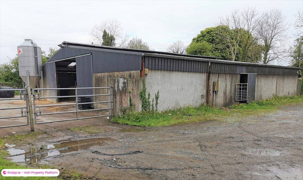Agricultural Land for Sale in Ballyhaunis, Mayo