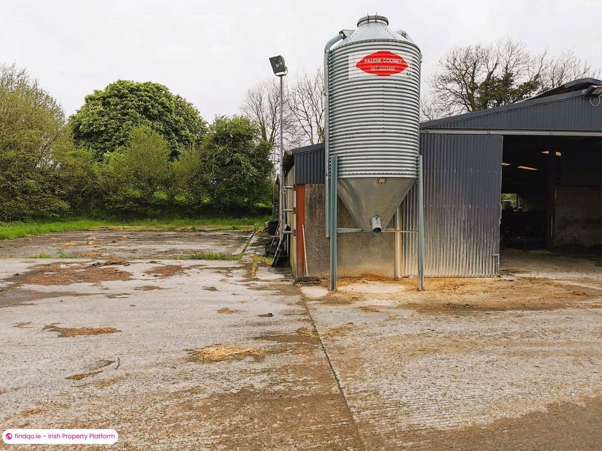 Agricultural Land for Sale in Ballyhaunis, Mayo