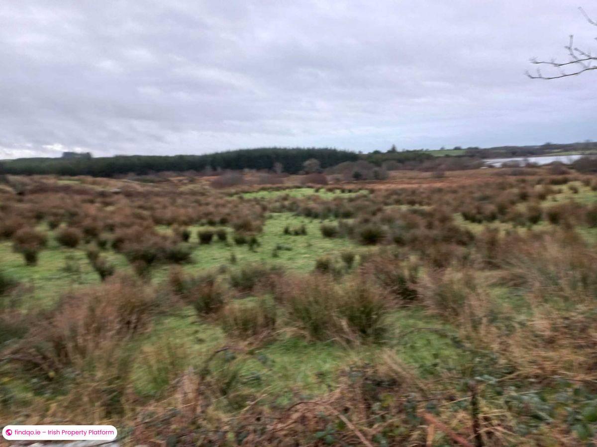 Agricultural Land for Sale in Kilkelly, Mayo