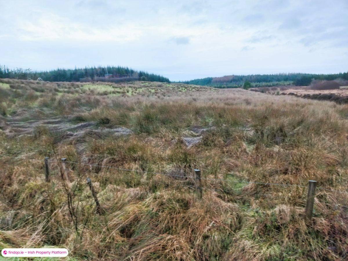 Agricultural Land for Sale in Kilkelly, Mayo