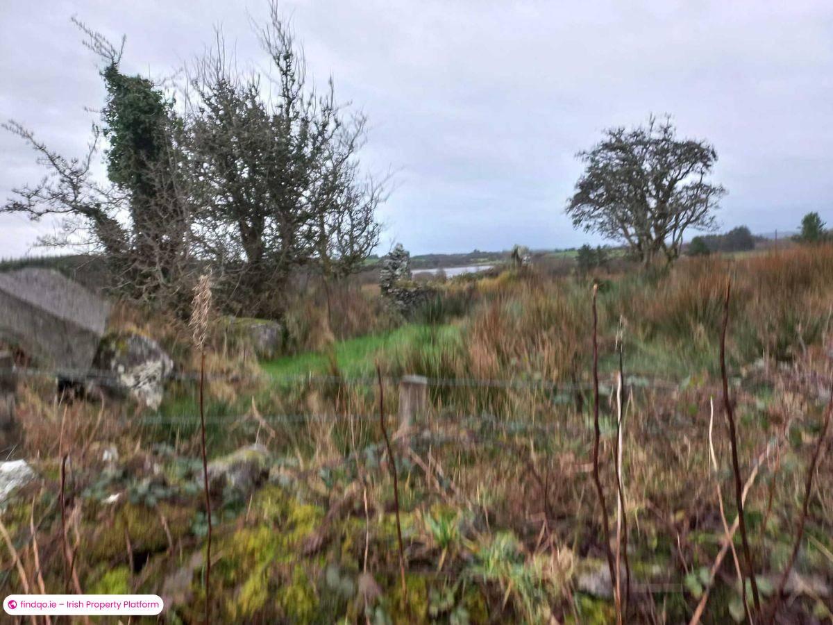 Agricultural Land for Sale in Kilkelly, Mayo