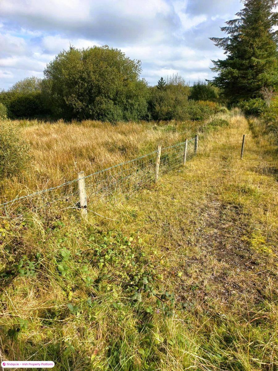 Agricultural Land for Sale in Swinford, Mayo
