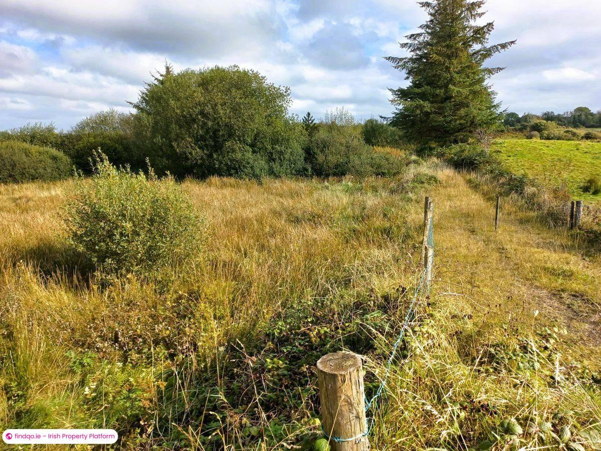 Agricultural Land for Sale in Swinford, Mayo