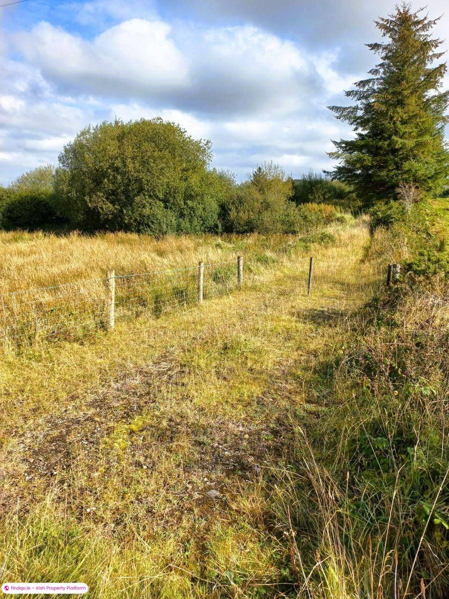 Agricultural Land for Sale in Swinford, Mayo