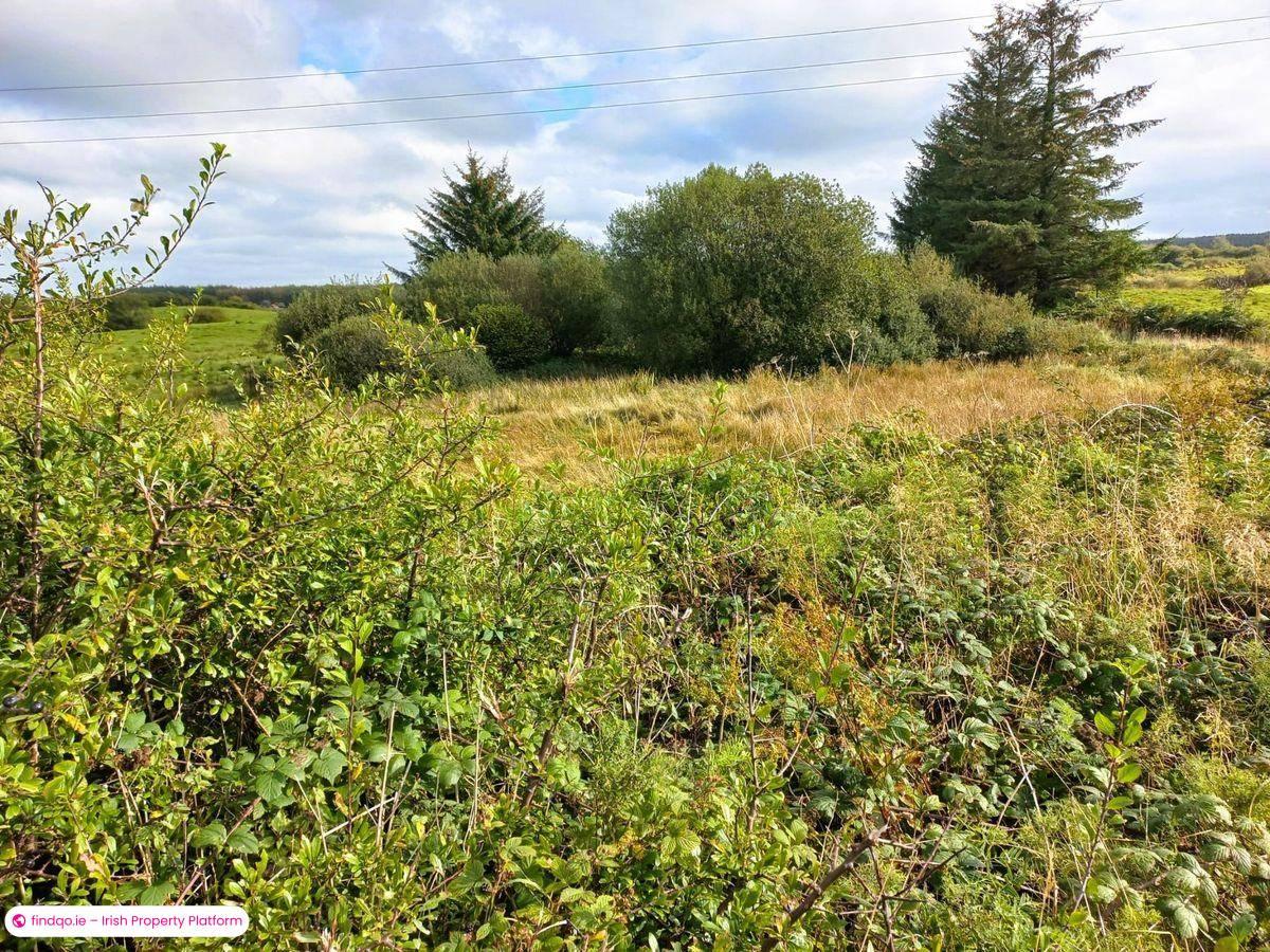 Agricultural Land for Sale in Swinford, Mayo
