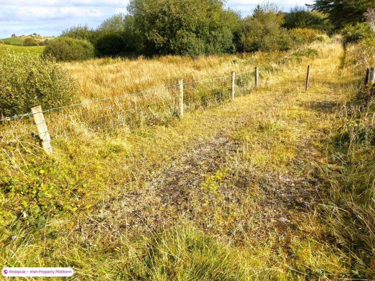 Agricultural Land for Sale in Swinford, Mayo