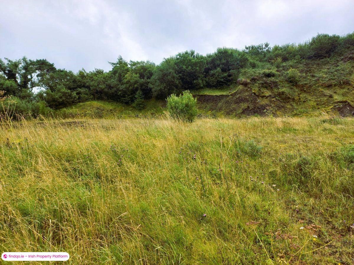 Agricultural Land for Sale in Swinford, Mayo