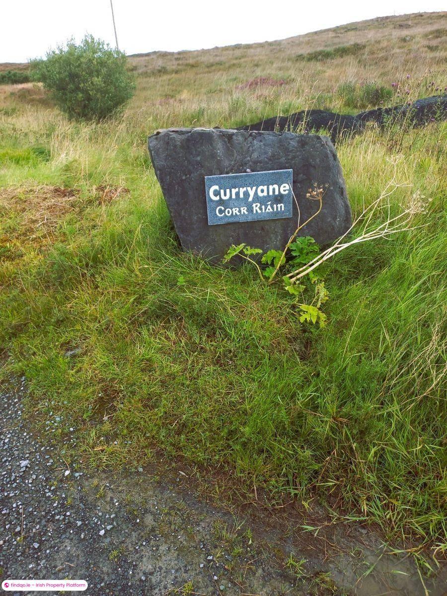 Agricultural Land for Sale in Swinford, Mayo