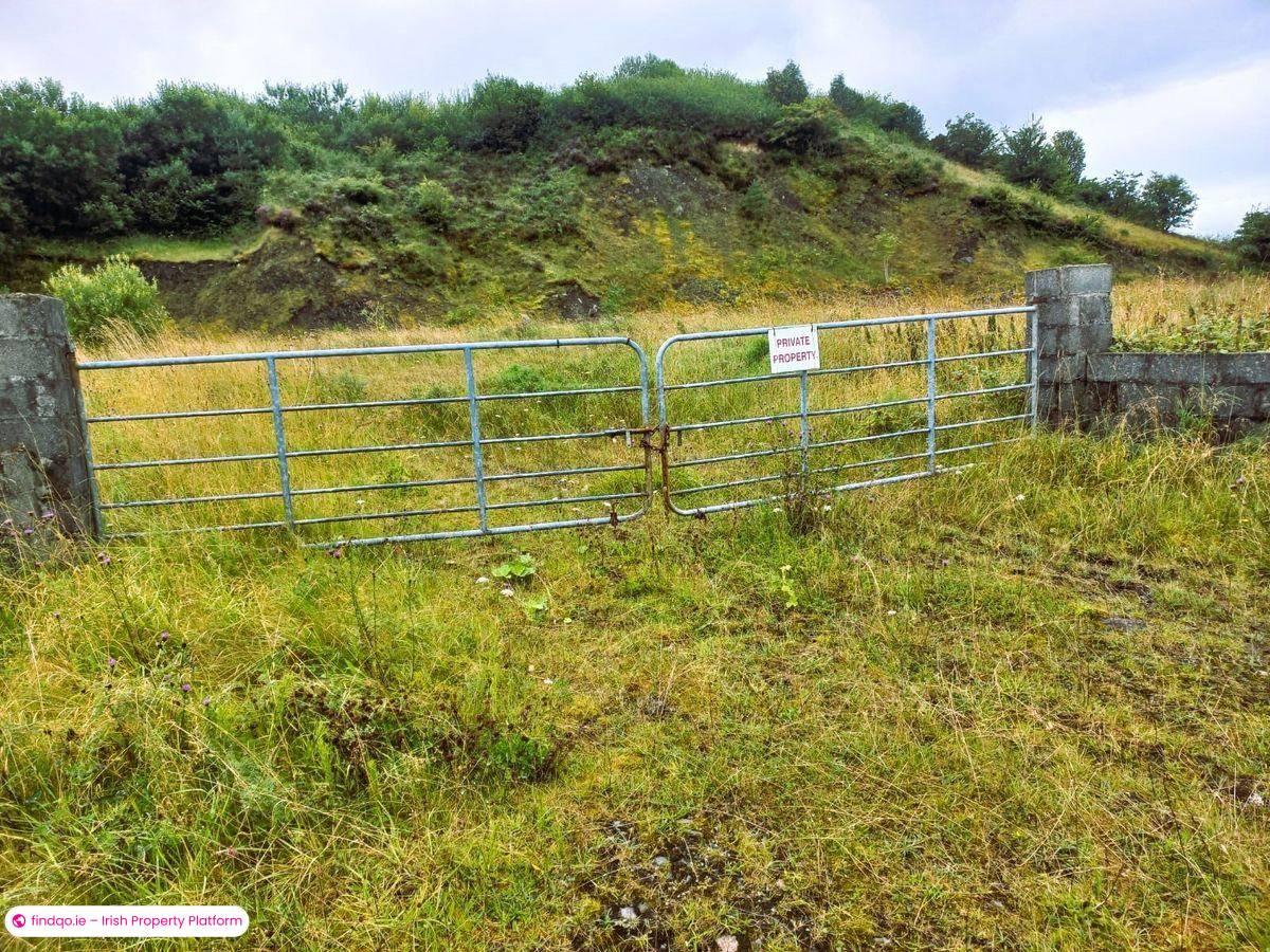 Agricultural Land for Sale in Swinford, Mayo